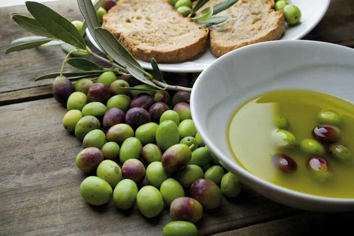 Tasting of extra virgin olive oil from Tuscany guaranteed own production