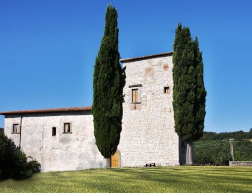 Osservatorio Astronomico: Torre di Luciana