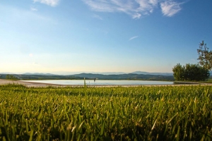 Vicolabate Tuscan Countryside Video Background