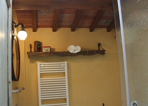 Bathroom in style with skylight roof with exposed wooden beams