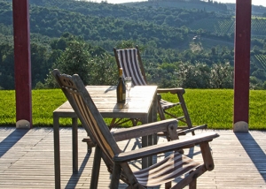 Relax under the pergola by the pool
