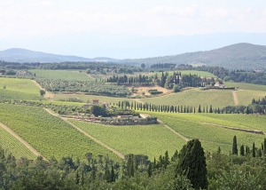 Precious details and exterior views of exclusive villa in Chianti